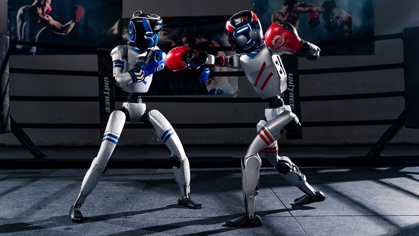 Two Unitree G1 humanoid robots boxing in a ring