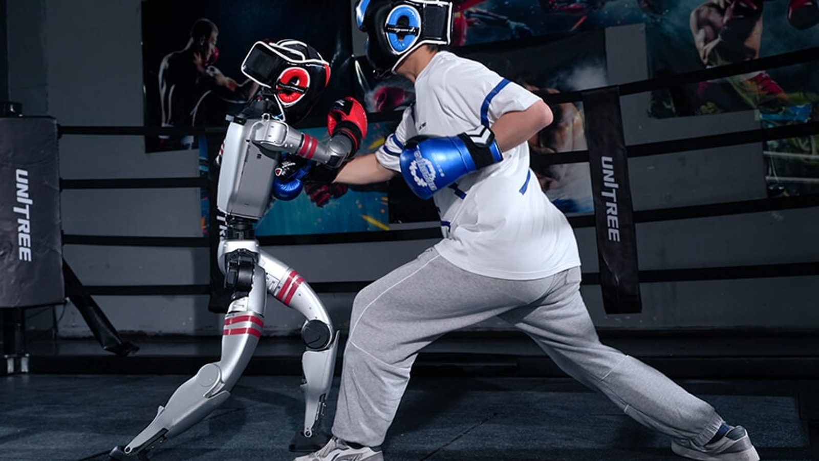 Human operator sparring with a Unitree G1 humanoid robot