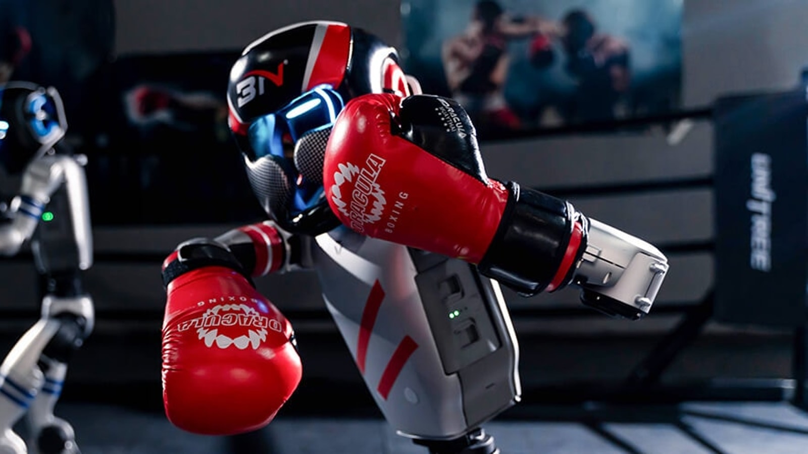Unitree G1 robot in red gloves defending in a boxing ring