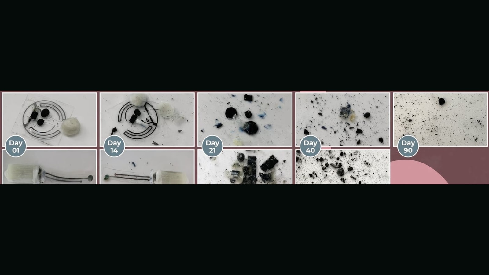 Photographs showing MIT disc and bar bioresorbable batteries dissolving across 90 days
