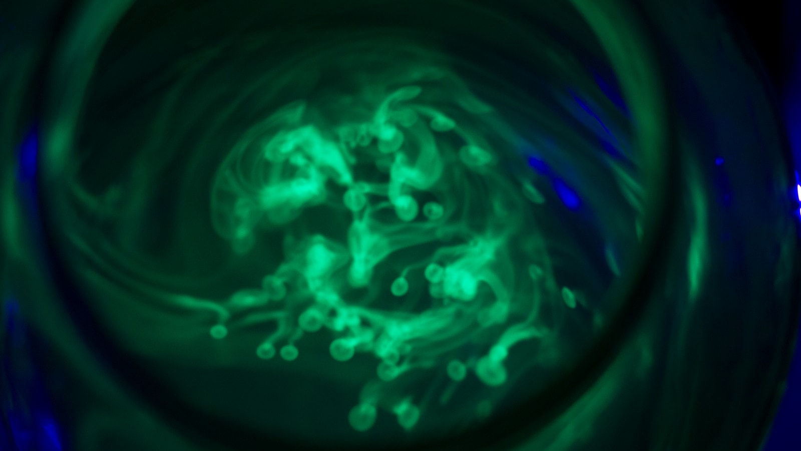 Fluorescent ink dispersing through water under ultraviolet light
