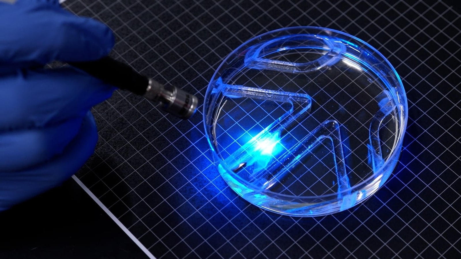 Light-activated muscle-powered MIT robot in its water testing dish