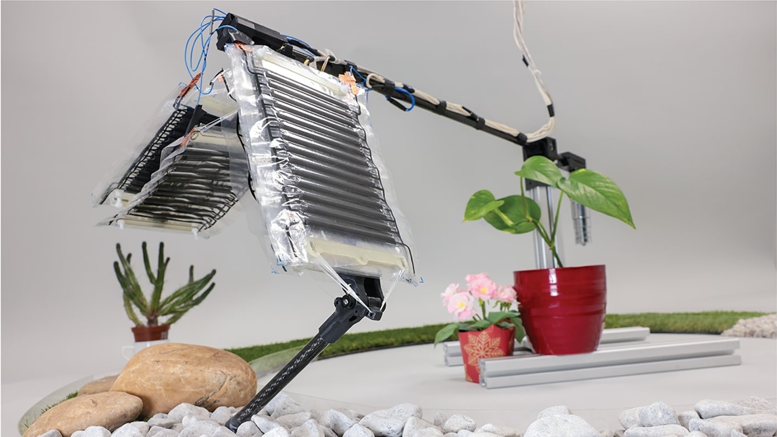 Electrohydraulic musculoskeletal robotic leg stepping across uneven terrain