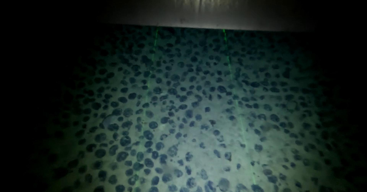 Real deep-seafloor field of polymetallic nodules observed during the Ifremer EDEN campaign