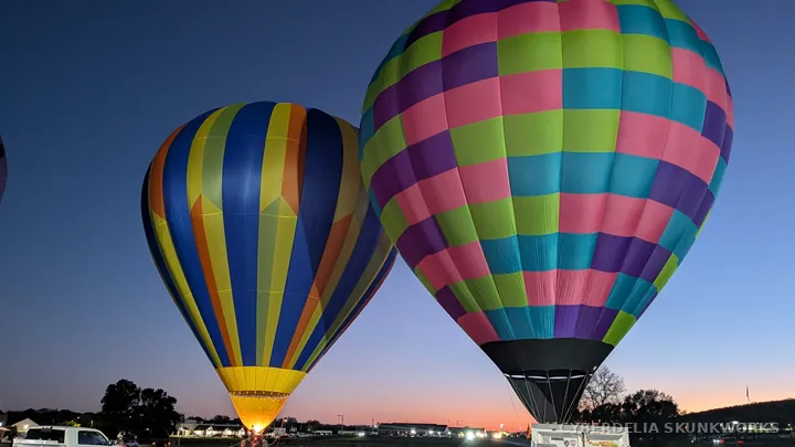 Two patterned balloons stand against a deep-blue sky.