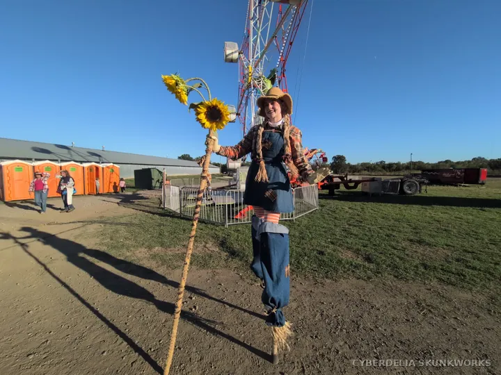 The sunflower-carrying performer beside the carnival grounds.