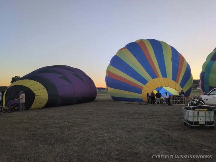 Several balloons occupy different stages of inflation.