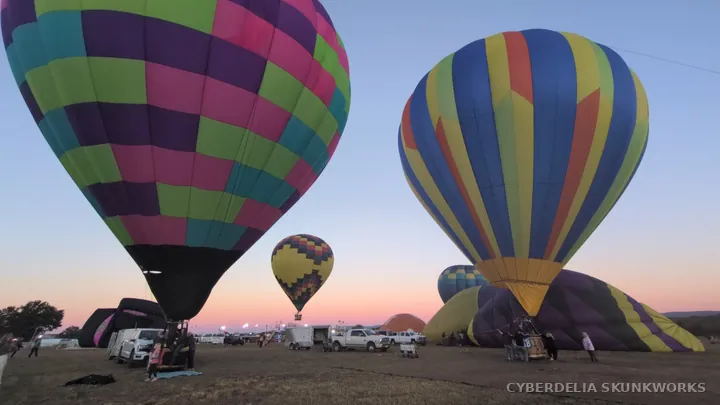 Large patterned balloons stand together as the light fades.