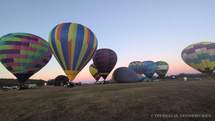 A wide view of the balloon field in the last evening light.